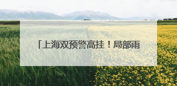 上海双预警高挂！局部雨量中到大！部分列车停运，一省已发88条预警