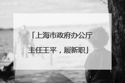 上海市政府办公厅主任王平，履新职