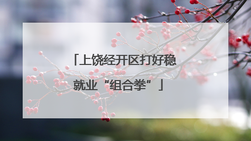 上饶经开区打好稳就业“组合拳”