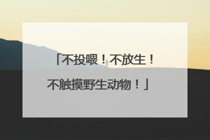 不投喂！不放生！不触摸野生动物！