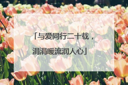 与爱同行二十载，涓涓暖流润人心