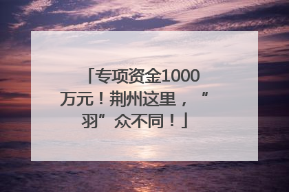 专项资金1000万元！荆州这里，“羽”众不同！