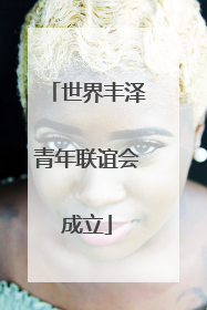 世界丰泽青年联谊会成立