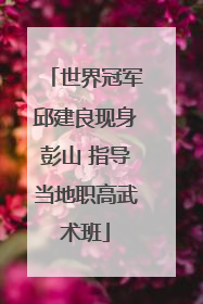 世界冠军邱建良现身彭山 指导当地职高武术班