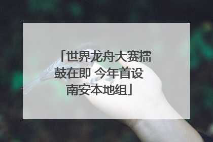 世界龙舟大赛擂鼓在即 今年首设南安本地组