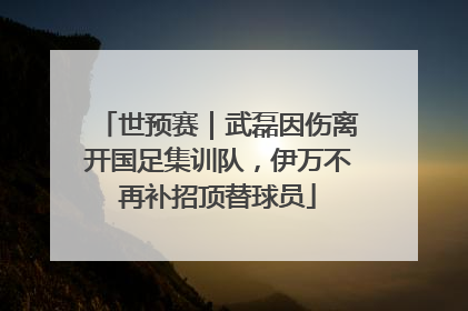 世预赛｜武磊因伤离开国足集训队，伊万不再补招顶替球员