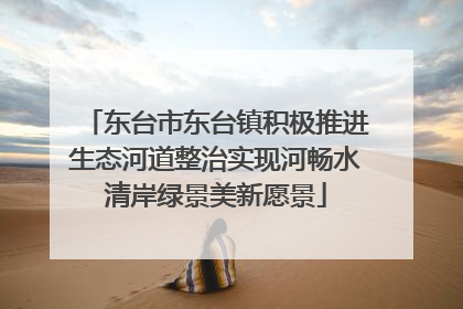 东台市东台镇积极推进生态河道整治实现河畅水清岸绿景美新愿景