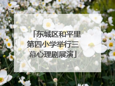 东城区和平里第四小学举行三幕心理剧展演