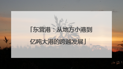 东营港：从地方小港到亿吨大港的跨越发展