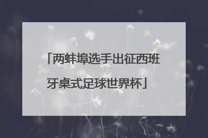 两蚌埠选手出征西班牙桌式足球世界杯