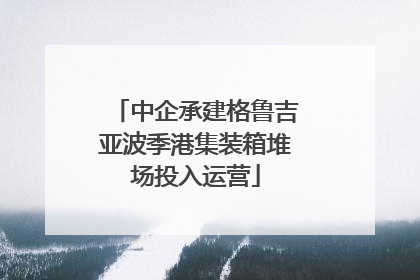 中企承建格鲁吉亚波季港集装箱堆场投入运营