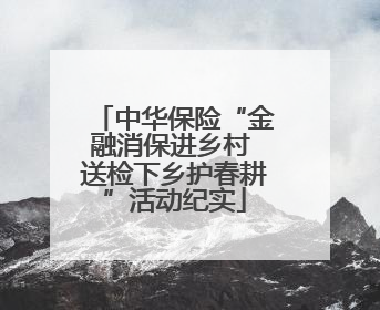 中华保险“金融消保进乡村 送检下乡护春耕”活动纪实