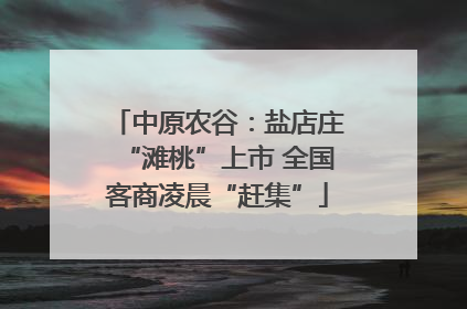 中原农谷：盐店庄“滩桃”上市 全国客商凌晨“赶集”