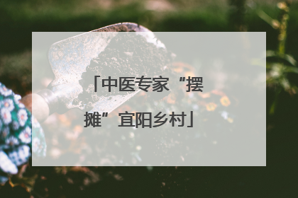 中医专家“摆摊”宜阳乡村