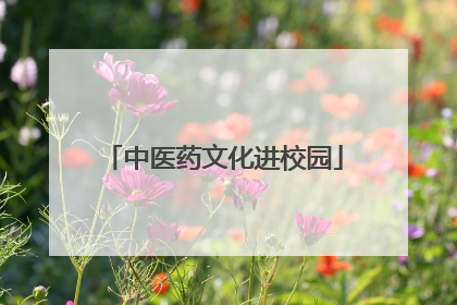 中医药文化进校园