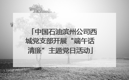 中国石油滨州公司西城党支部开展“端午话清廉”主题党日活动