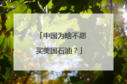 中国为啥不愿买美国石油？