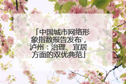 中国城市网络形象指数报告发布，泸州：治理、宜居方面的双优典范