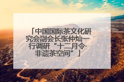 中国国际茶文化研究会副会长张仲灿一行调研“十二月令·非遗茶空间”