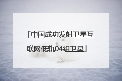 中国成功发射卫星互联网低轨04组卫星