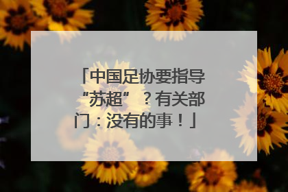 中国足协要指导“苏超”？有关部门：没有的事！