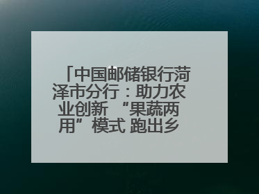 中国邮储银行菏泽市分行：助力农业创新 “果蔬两用”模式 跑出乡村振兴加速度