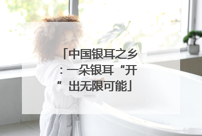 中国银耳之乡：一朵银耳“开”出无限可能