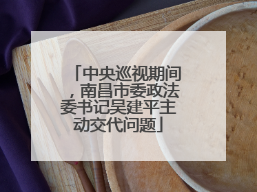 中央巡视期间，南昌市委政法委书记吴建平主动交代问题