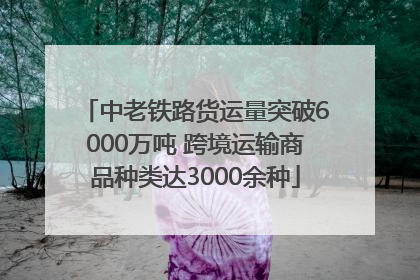 中老铁路货运量突破6000万吨 跨境运输商品种类达3000余种