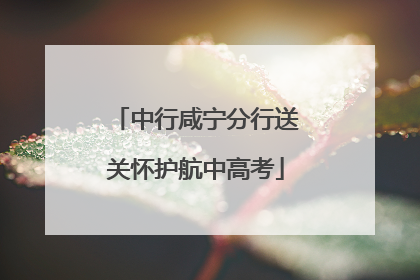 中行咸宁分行送关怀护航中高考