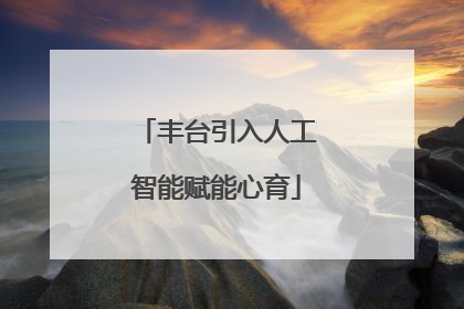 丰台引入人工智能赋能心育