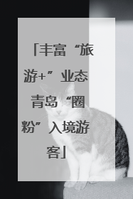 丰富“旅游+”业态 青岛“圈粉”入境游客