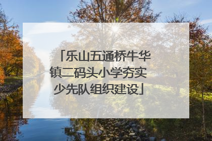 乐山五通桥牛华镇二码头小学夯实少先队组织建设