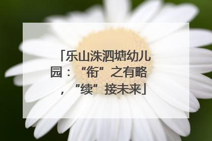 乐山洙泗塘幼儿园：“衔”之有略，“续”接未来
