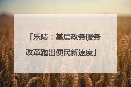 乐陵：基层政务服务改革跑出便民新速度