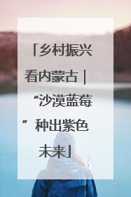乡村振兴看内蒙古｜“沙漠蓝莓”种出紫色未来