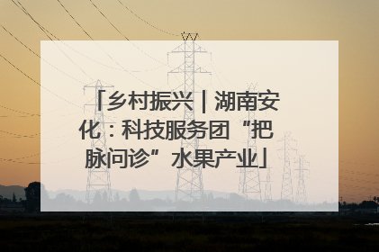 乡村振兴｜湖南安化：科技服务团“把脉问诊”水果产业