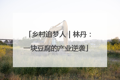 乡村追梦人｜林丹：一块豆腐的产业逆袭