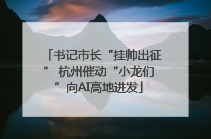 书记市长“挂帅出征” 杭州催动“小龙们”向AI高地进发