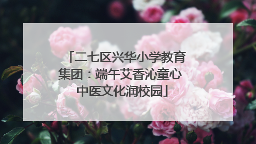 二七区兴华小学教育集团：端午艾香沁童心 中医文化润校园