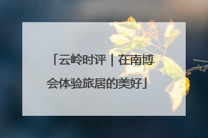 云岭时评｜在南博会体验旅居的美好