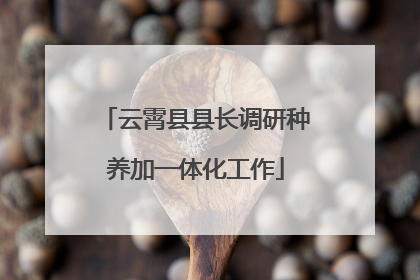 云霄县县长调研种养加一体化工作