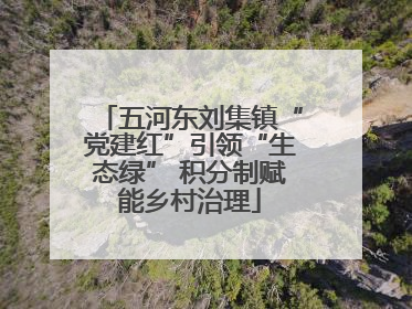 五河东刘集镇“党建红”引领“生态绿” 积分制赋能乡村治理