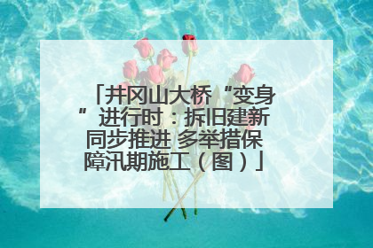 井冈山大桥“变身”进行时：拆旧建新同步推进 多举措保障汛期施工（图）