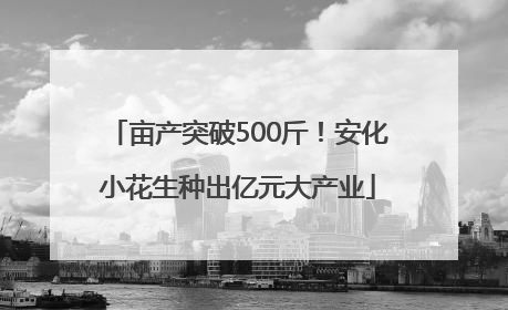 亩产突破500斤！安化小花生种出亿元大产业