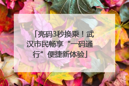 亮码3秒换乘！武汉市民畅享“一码通行”便捷新体验