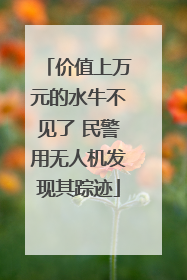 价值上万元的水牛不见了 民警用无人机发现其踪迹