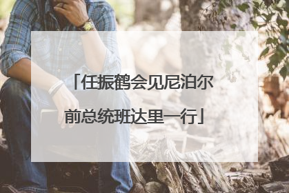 任振鹤会见尼泊尔前总统班达里一行