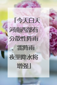 今天白天河南西部有分散性阵雨、雷阵雨 夜里降水将增强