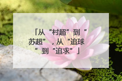 从“村超”到“苏超”，从“追球”到“追求”